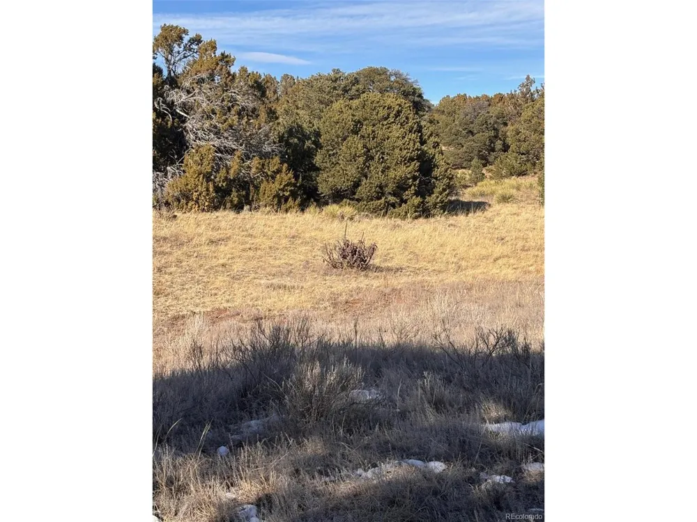Address Not Shown Walsenburg, CO 81089