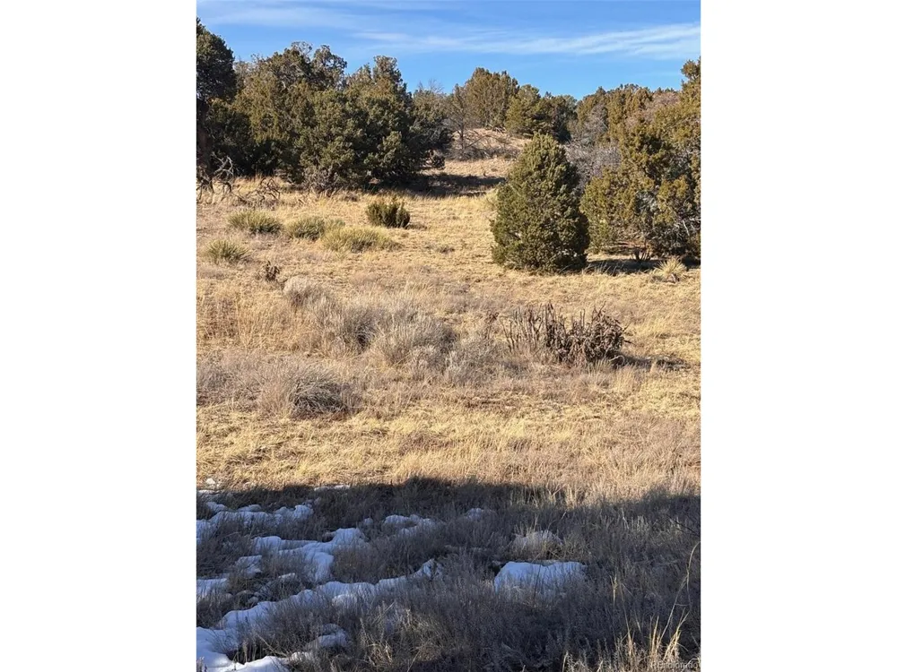 Address Not Shown Walsenburg, CO 81089