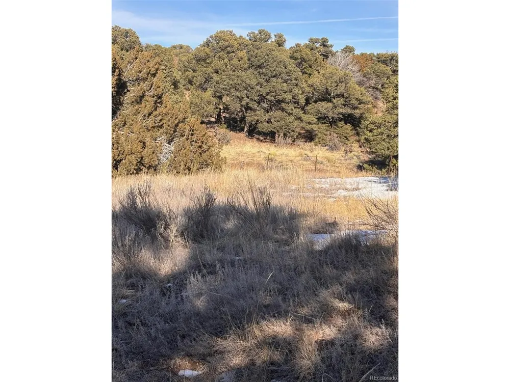Address Not Shown Walsenburg, CO 81089