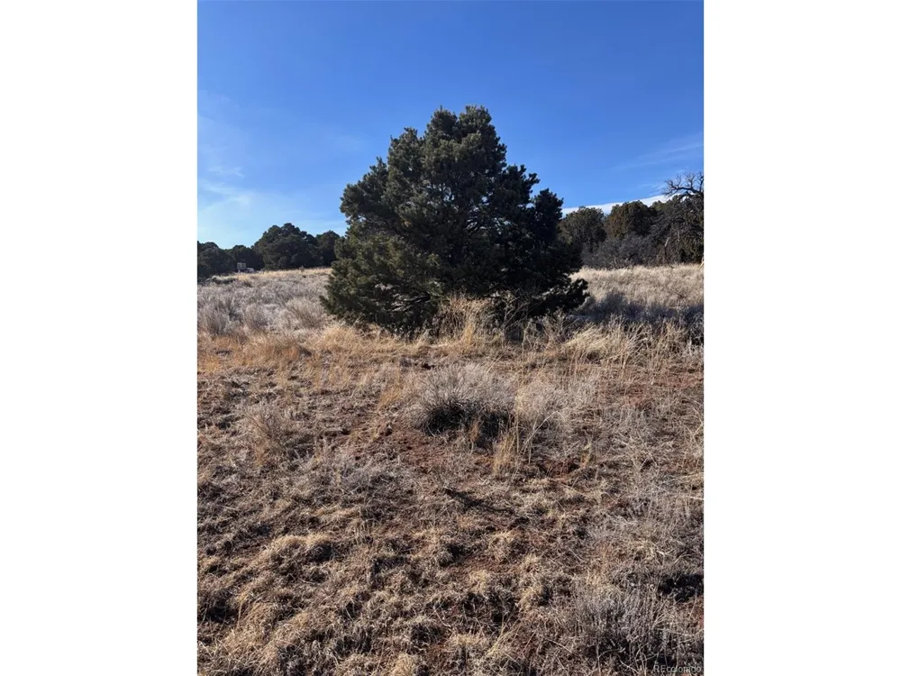 Address Not Shown Walsenburg, CO 81089