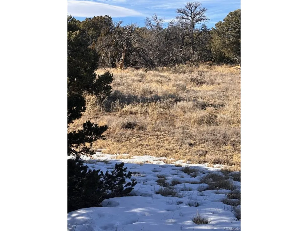Address Not Shown Walsenburg, CO 81089