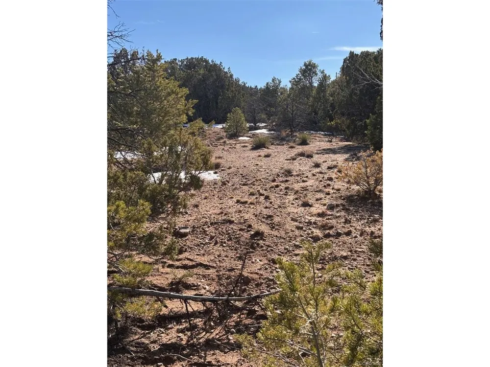Address Not Shown Walsenburg, CO 81089