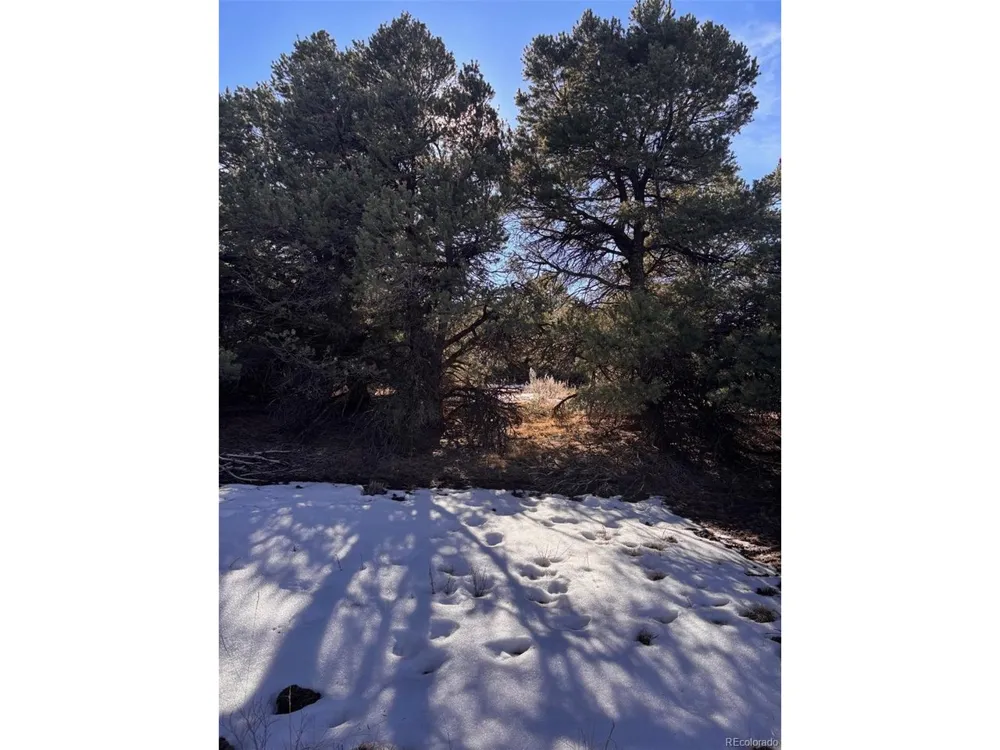 Address Not Shown Walsenburg, CO 81089