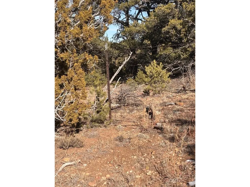 Address Not Shown Walsenburg, CO 81089