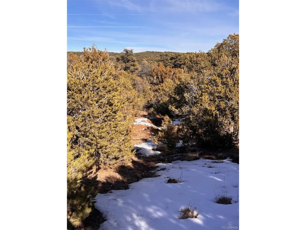 Address Not Shown Walsenburg, CO 81089