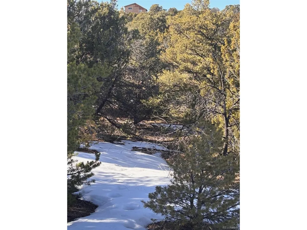 Address Not Shown Walsenburg, CO 81089