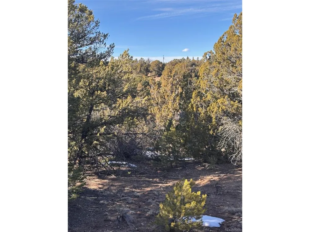 Address Not Shown Walsenburg, CO 81089