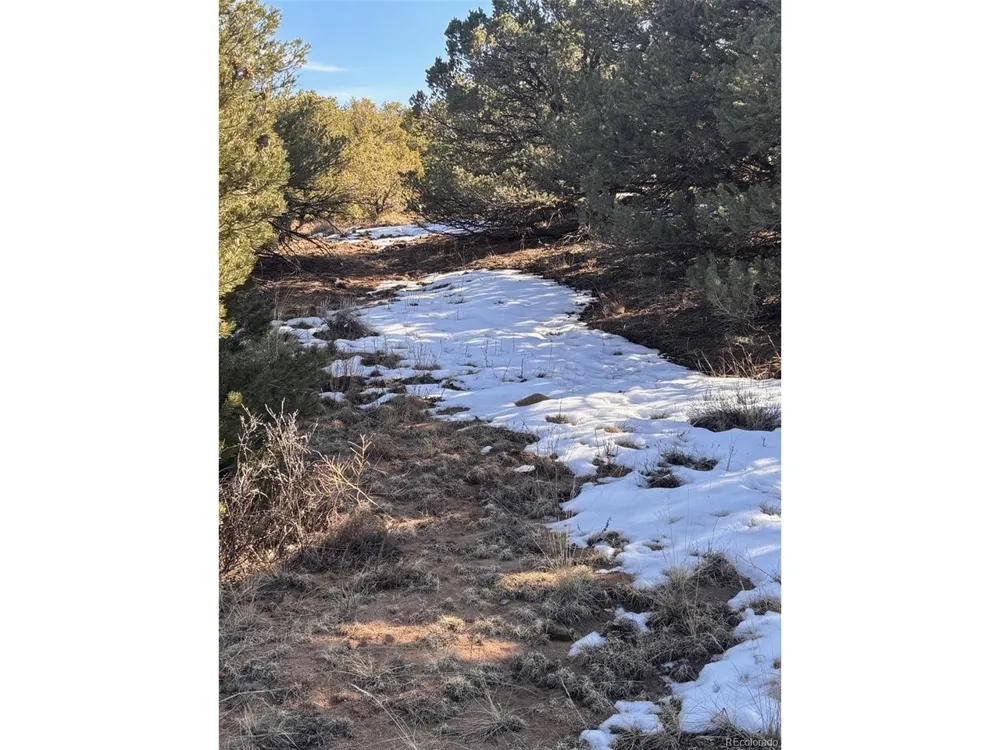 Address Not Shown Walsenburg, CO 81089