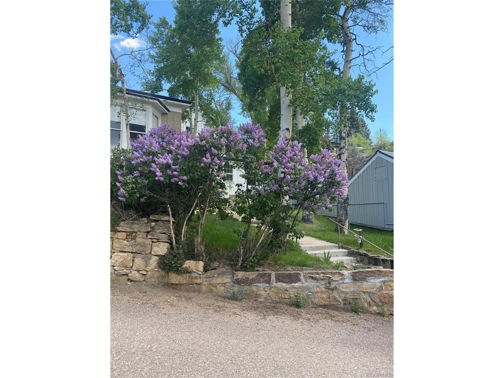 202 E 1st High Street Central City, CO 80427