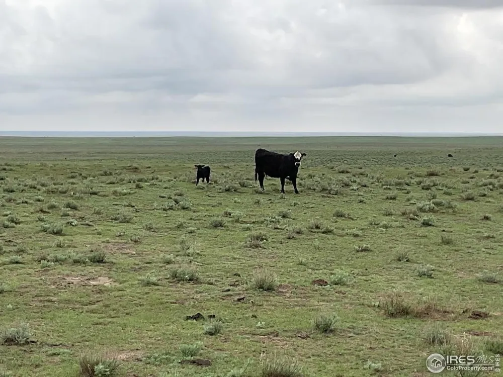 0 Hwy Kit Carson, CO 80825