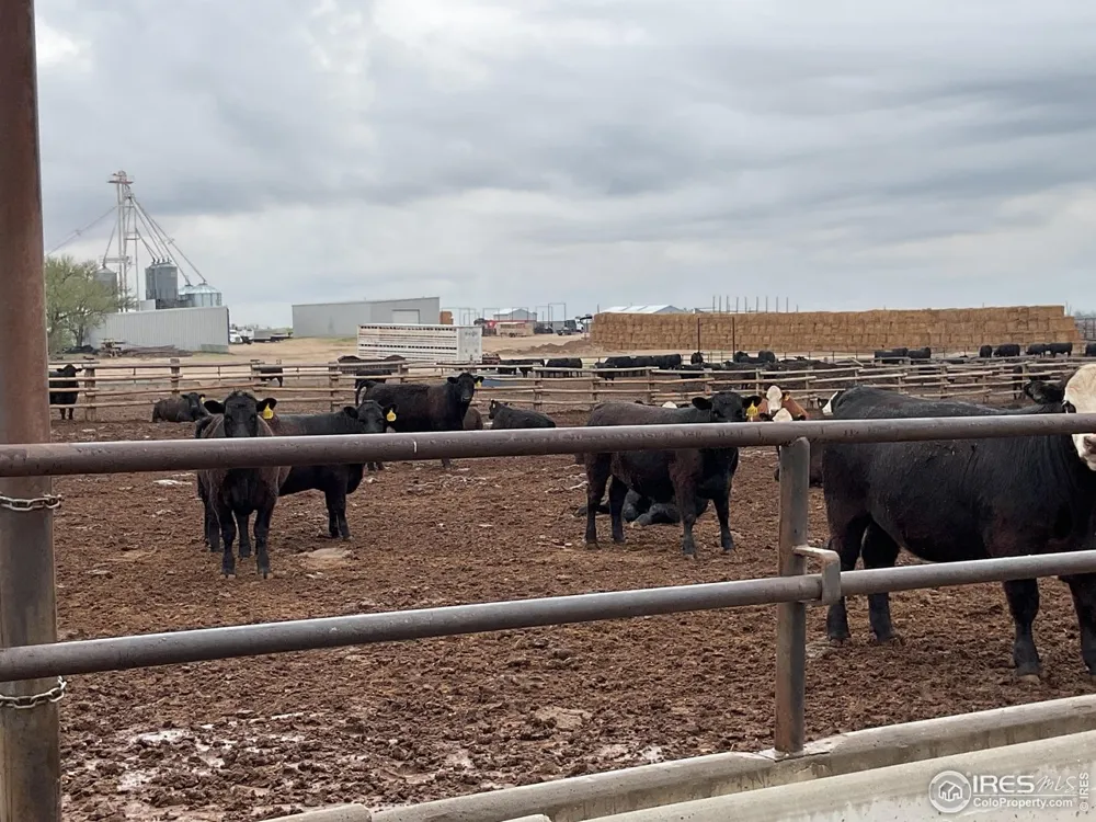 0 Hwy Kit Carson, CO 80825