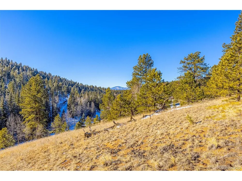 772 E Bison Creek Trail Florissant, CO 80816