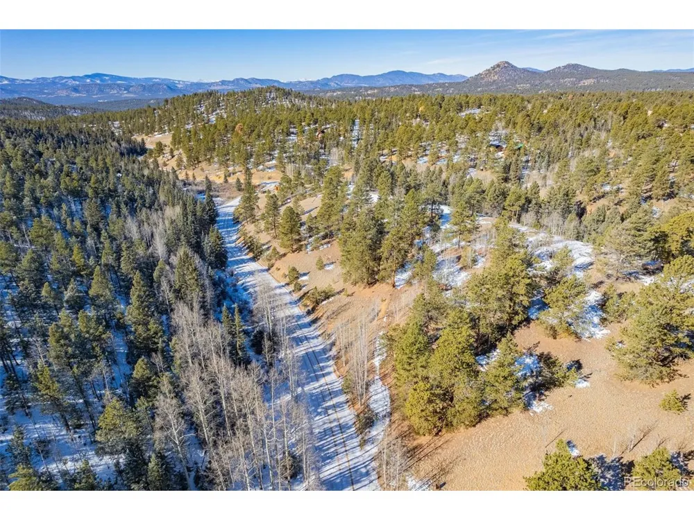 772 E Bison Creek Trail Florissant, CO 80816