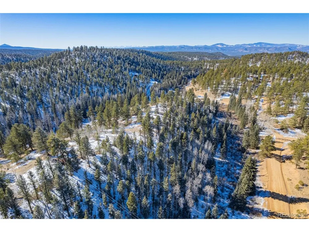 772 E Bison Creek Trail Florissant, CO 80816