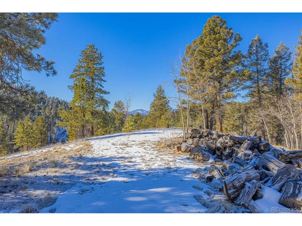 772 E Bison Creek Trail Florissant, CO 80816