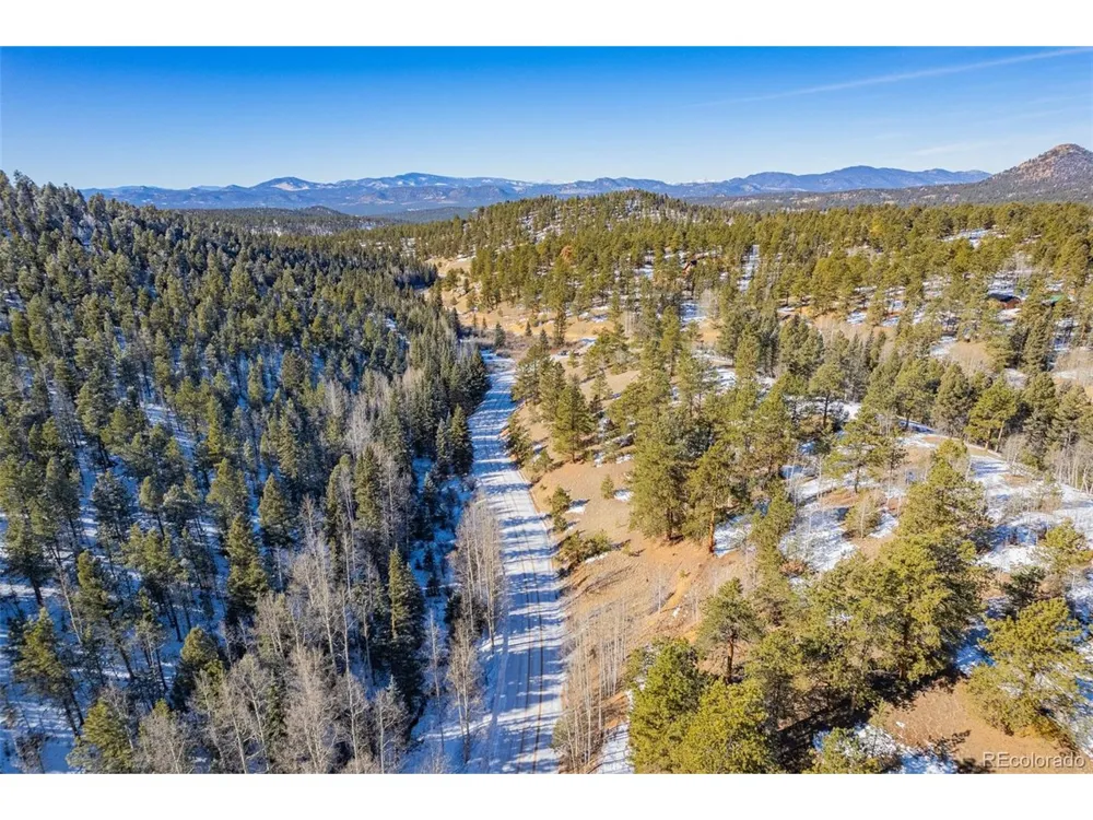 772 E Bison Creek Trail Florissant, CO 80816