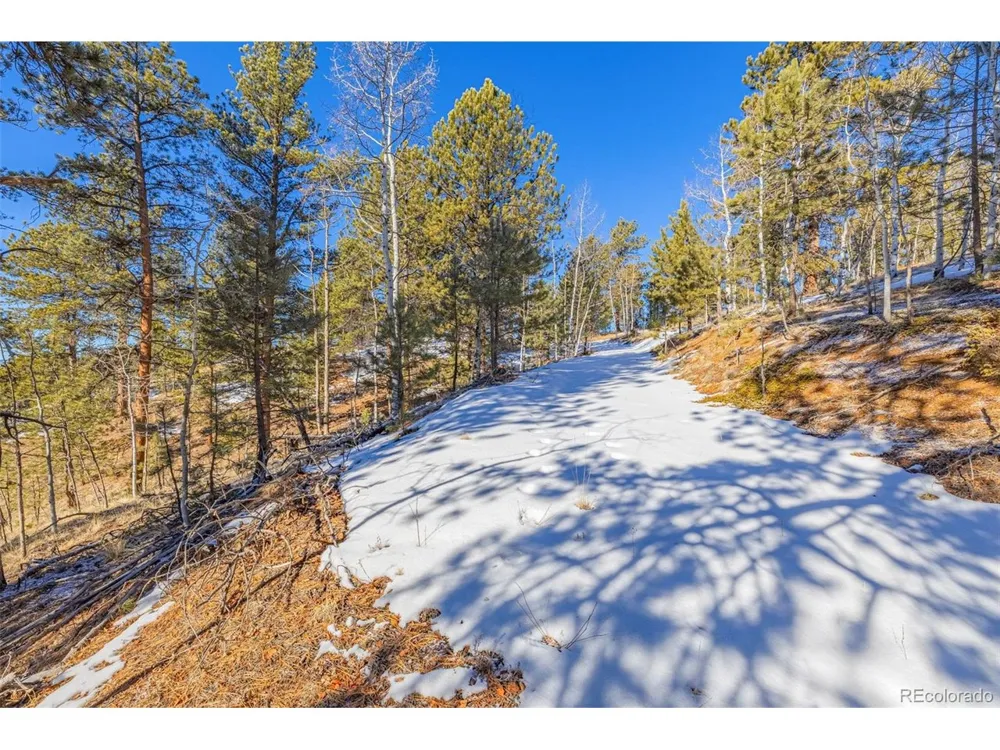 772 E Bison Creek Trail Florissant, CO 80816