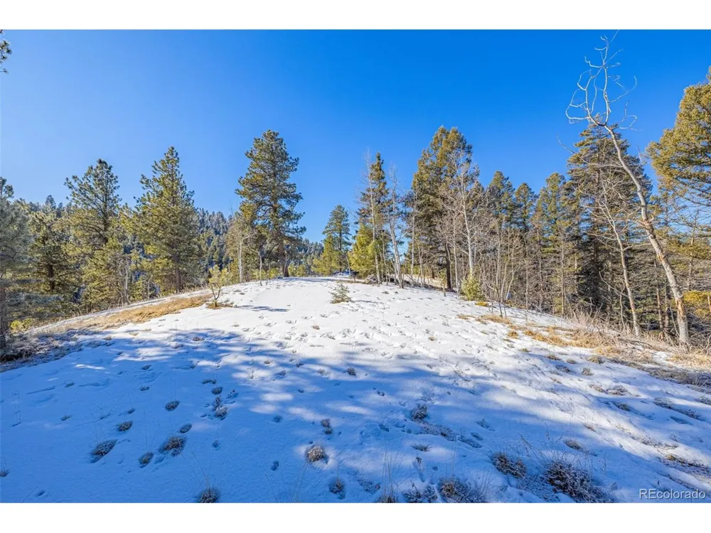 772 E Bison Creek Trail Florissant, CO 80816