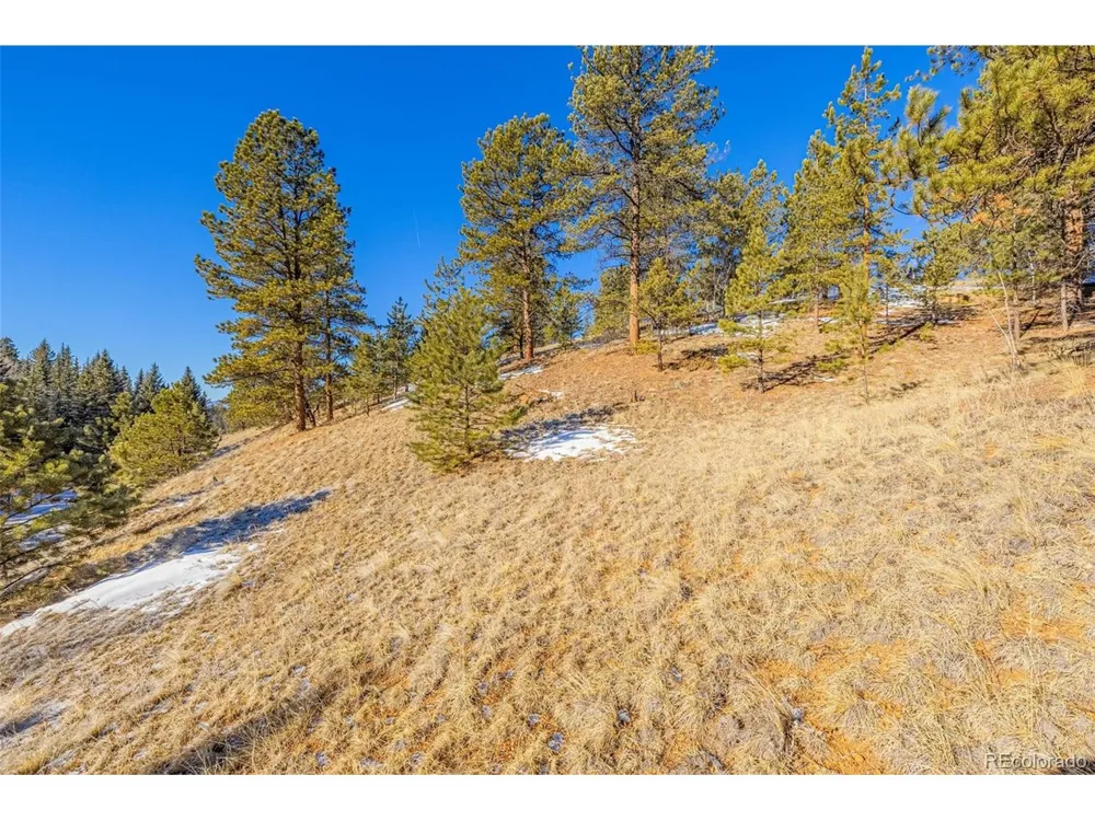 772 E Bison Creek Trail Florissant, CO 80816