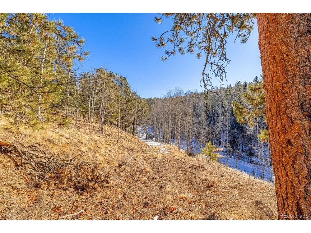 772 E Bison Creek Trail Florissant, CO 80816