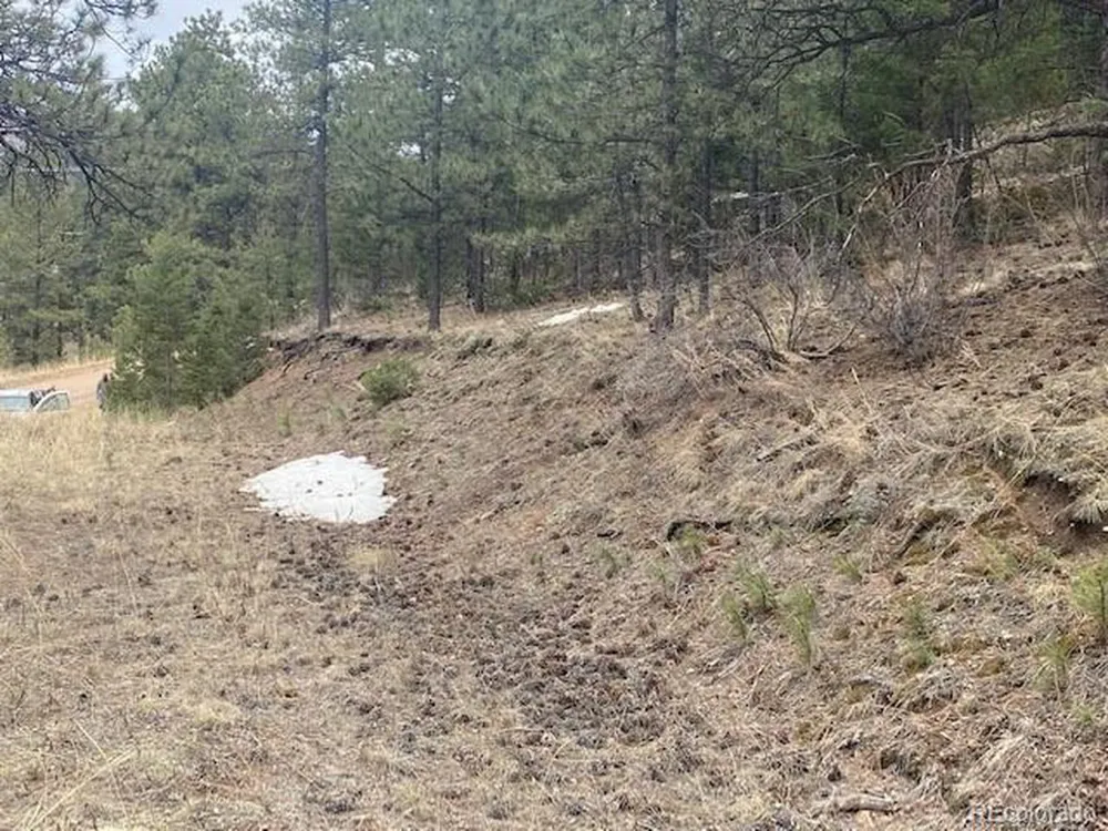 364 County Road 64 Shawnee, CO 80475