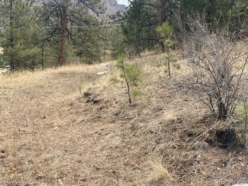 364 County Road 64 Shawnee, CO 80475