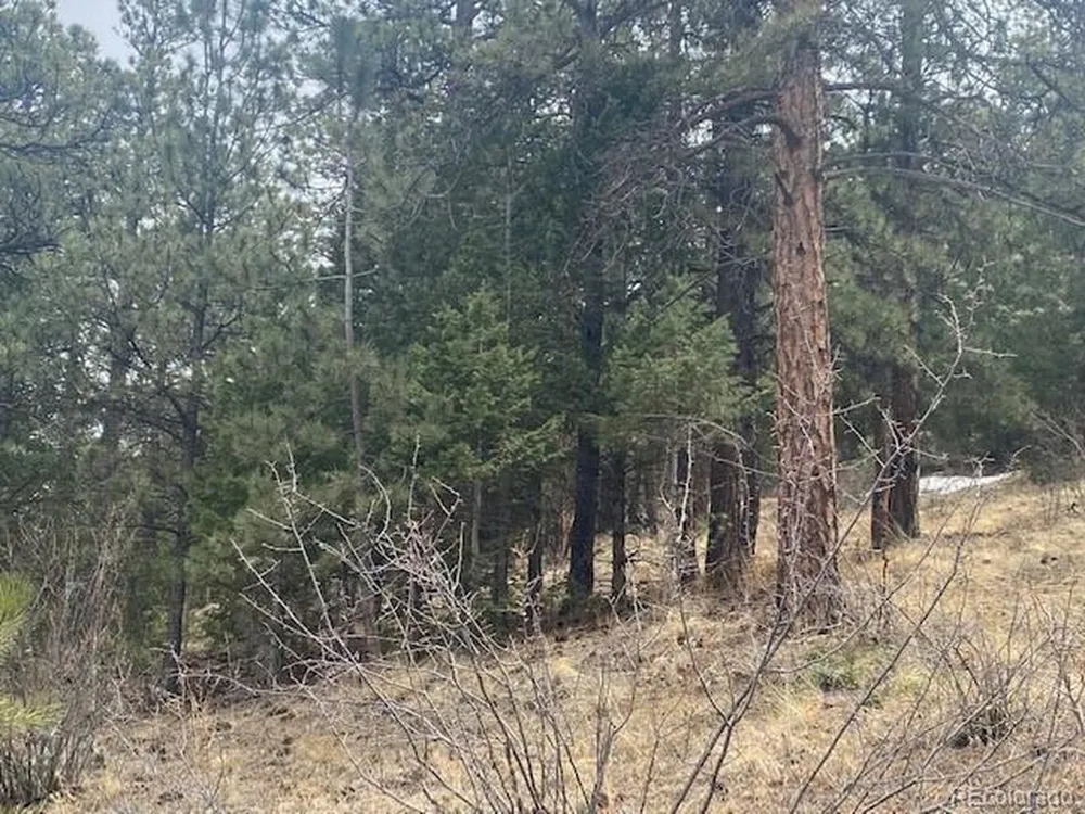 364 County Road 64 Shawnee, CO 80475