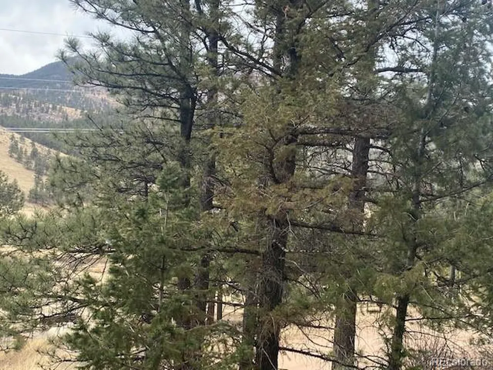 364 County Road 64 Shawnee, CO 80475