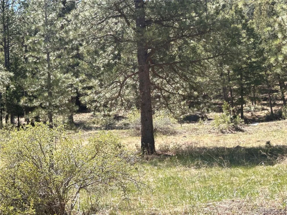 364 County Road 64 Shawnee, CO 80475