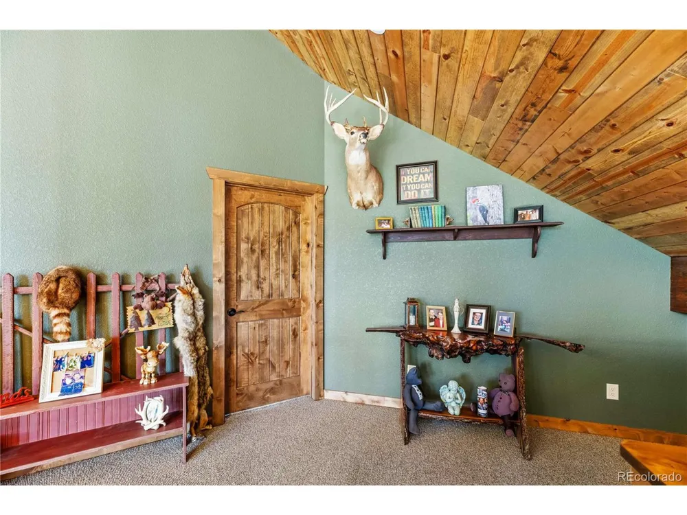 1310 Sunrise Rdg Cotopaxi, CO 81223