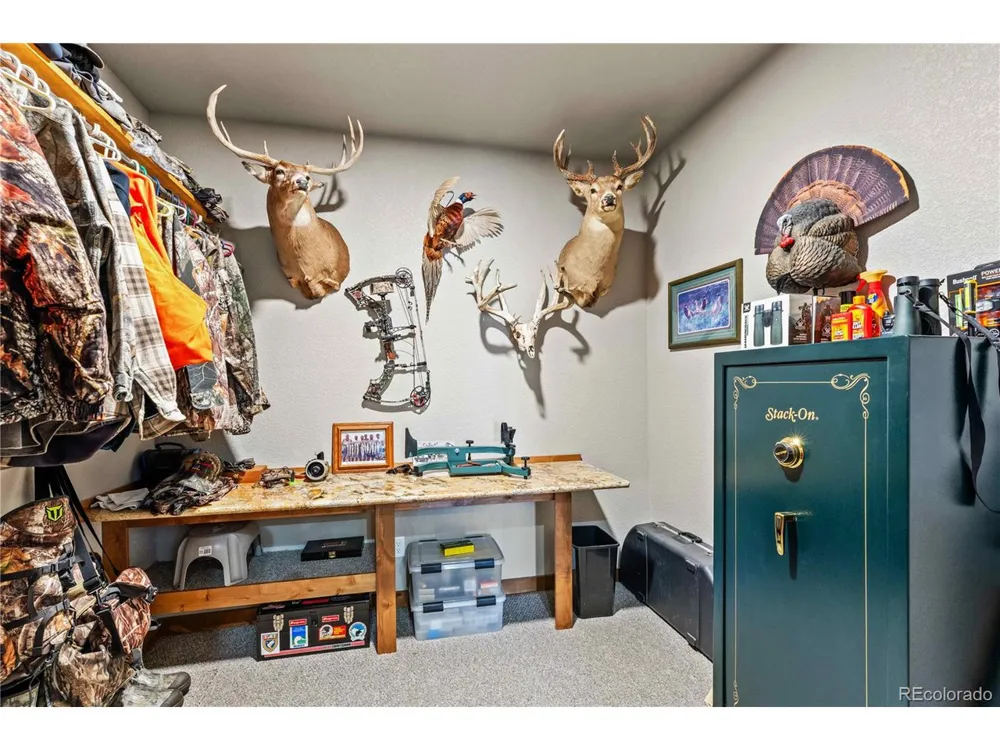 1310 Sunrise Rdg Cotopaxi, CO 81223