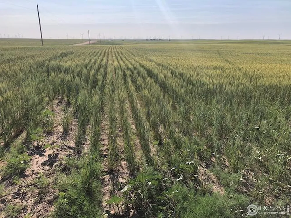 0 CR 70 Briggsdale, CO 80611