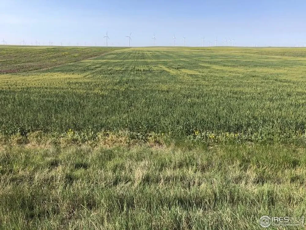 0 CR 70 Briggsdale, CO 80611