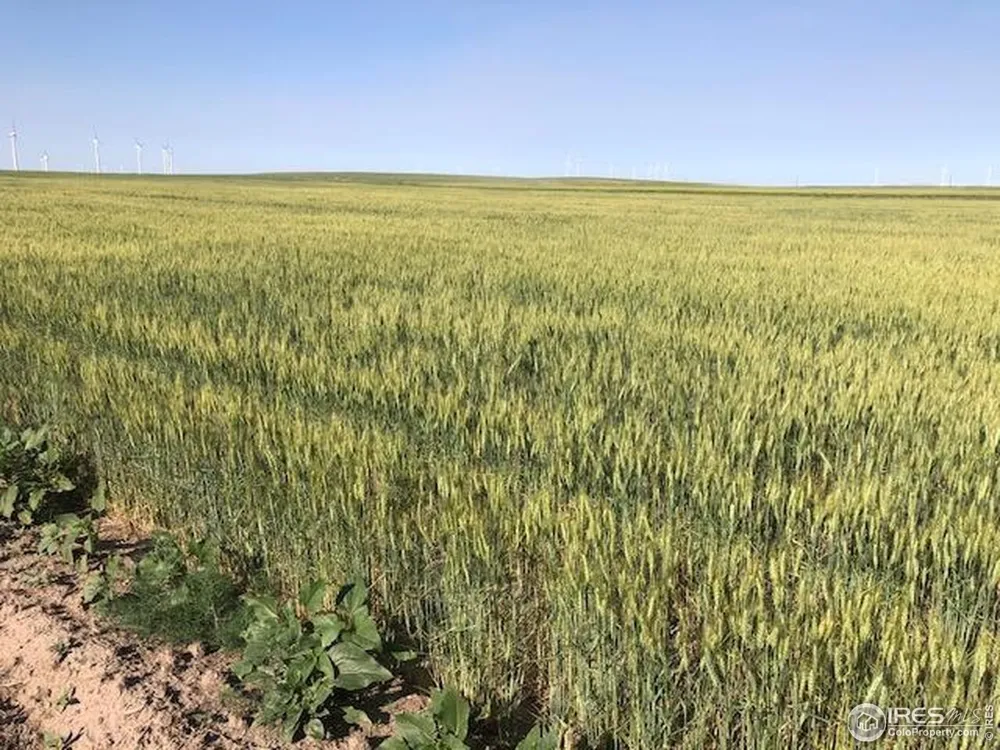 0 CR 70 Briggsdale, CO 80611