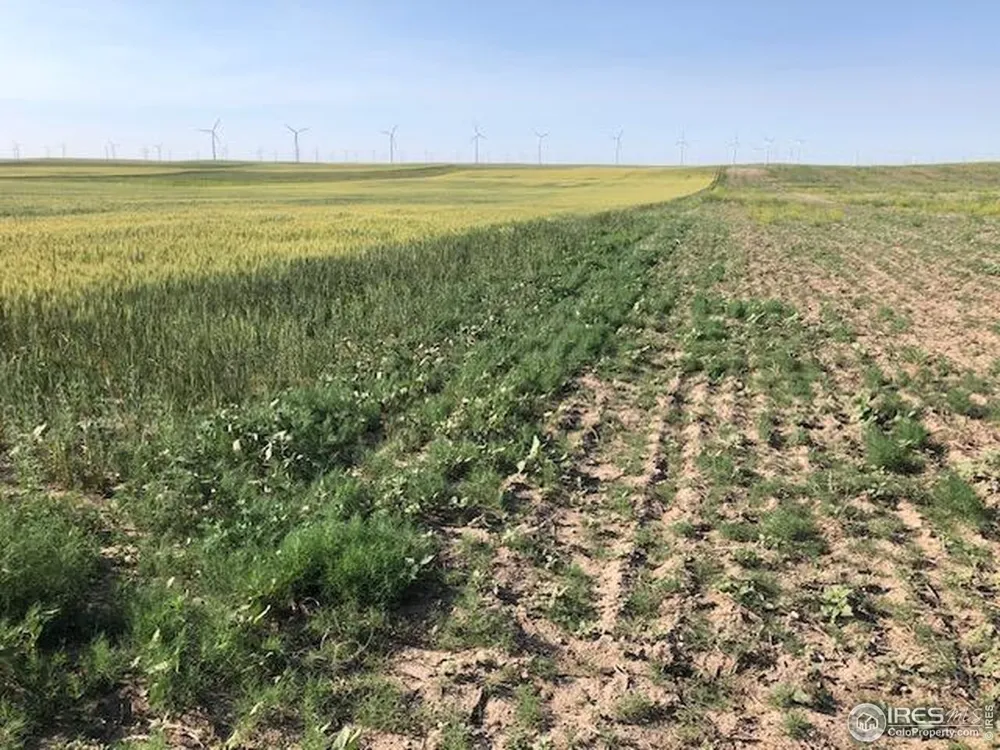 0 CR 70 Briggsdale, CO 80611