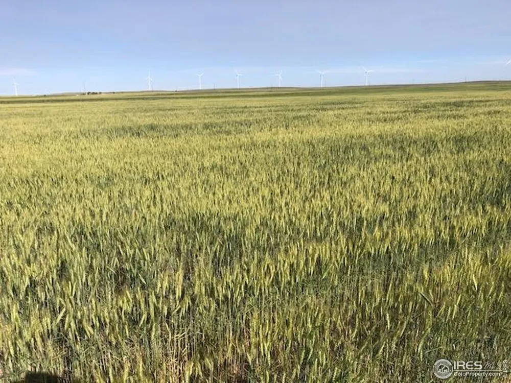 0 CR 70 Briggsdale, CO 80611