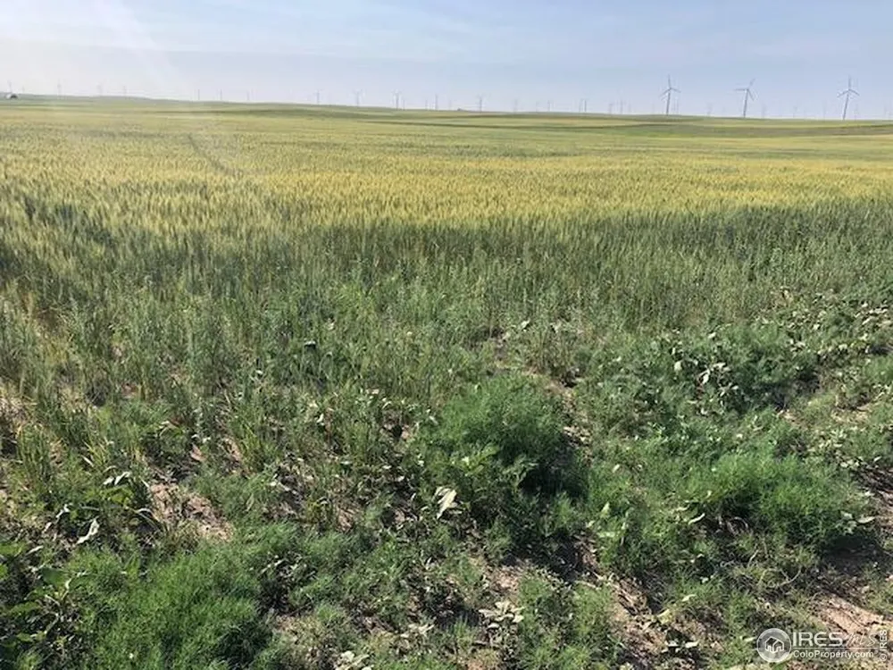 0 CR 70 Briggsdale, CO 80611