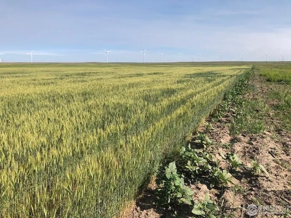 0 CR 70 Briggsdale, CO 80611