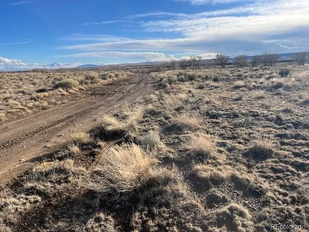 27 Alamosa River Ests La Jara, CO 81140