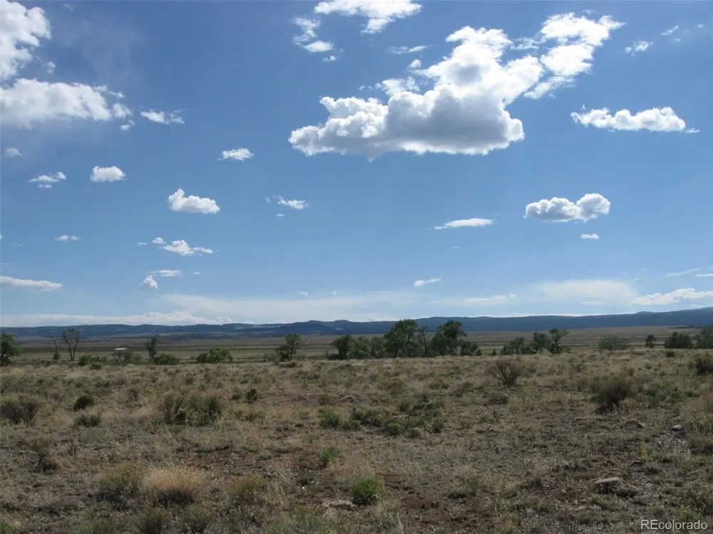 27 Alamosa River Ests La Jara, CO 81140