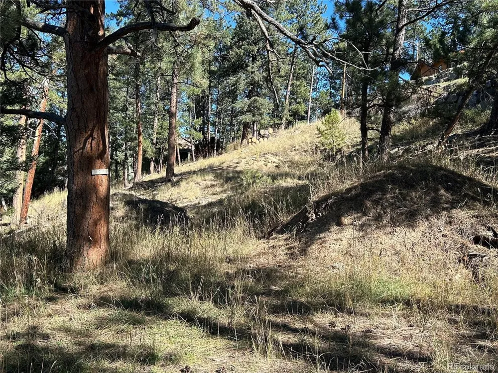 0 Pine Road Evergreen, CO 80439
