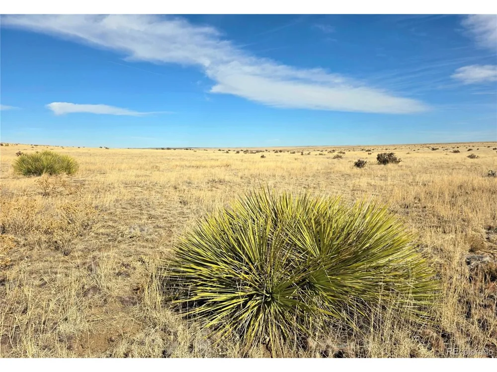 TBD County Road 103 Walsenburg, CO 81089