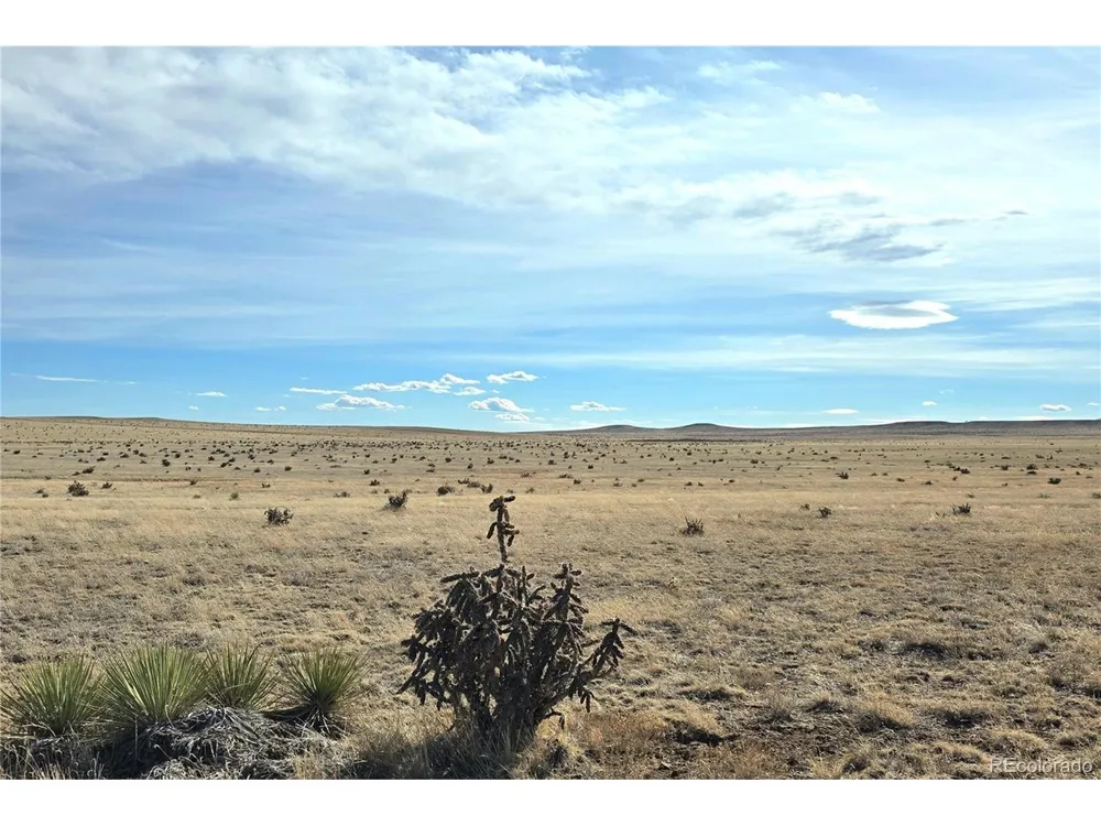TBD County Road 103 Walsenburg, CO 81089