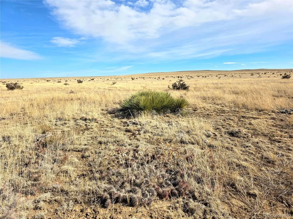 TBD County Road 103 Walsenburg, CO 81089