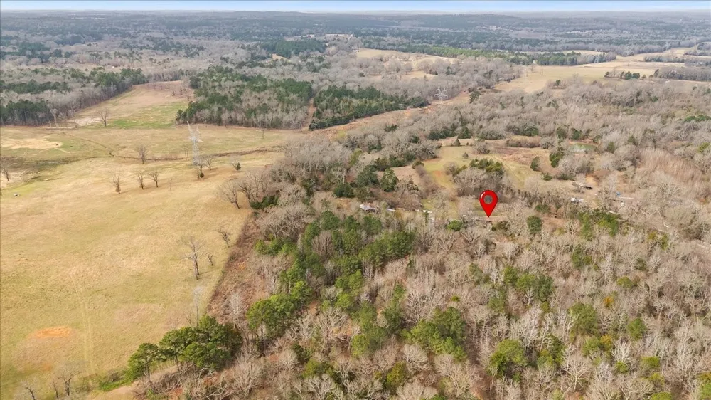 2605 VZ County Road 4923 Ben Wheeler, TX 75754
