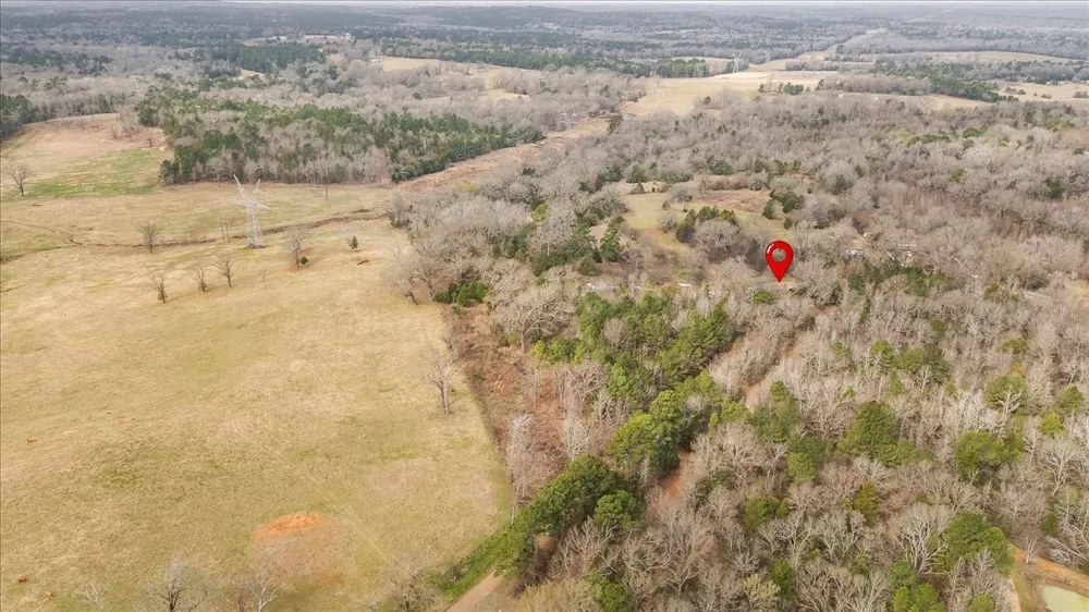 2605 VZ County Road 4923 Ben Wheeler, TX 75754