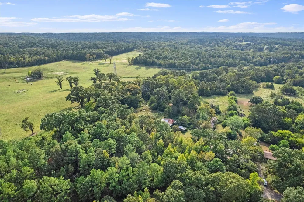 2605 VZ County Road 4923 Ben Wheeler, TX 75754