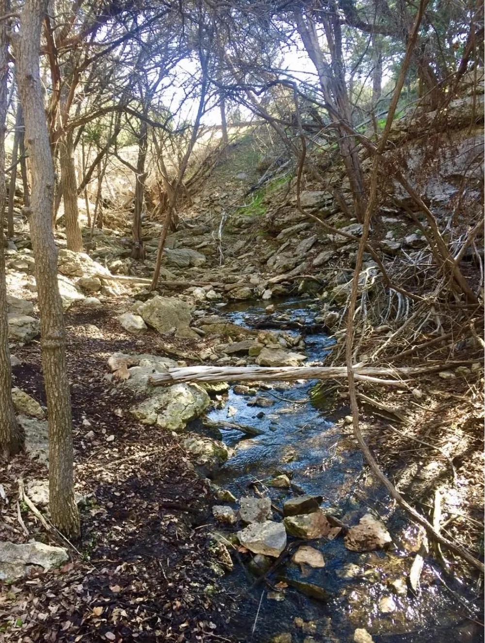 2005 Hells Gate Loop Strawn, TX 76475