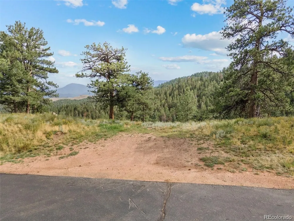 13817 Gordon Court Pine, CO 80470
