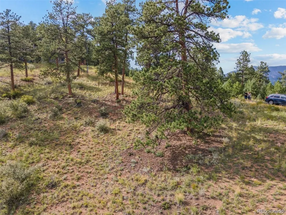 13817 Gordon Court Pine, CO 80470